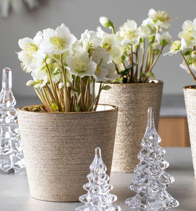 Glitter blomsterpotte gull 15 cm Glitter blomsterpotte gull 15 cm